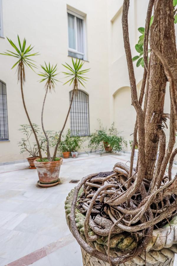 Chic&Luminoso-Wifiac/Elegant Apt In Salvador 2 Br Sevilla Eksteriør bilde